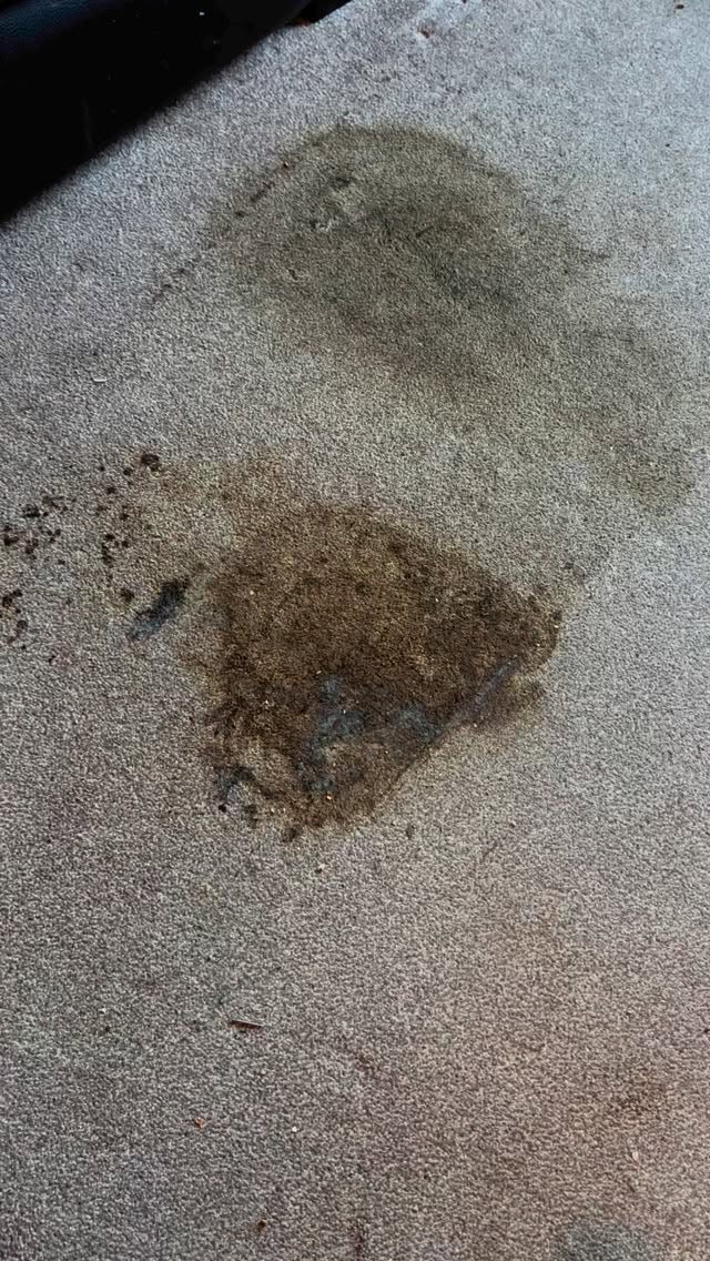 Sometimes accidents happen…

#clean #carpetcleaning #commerial