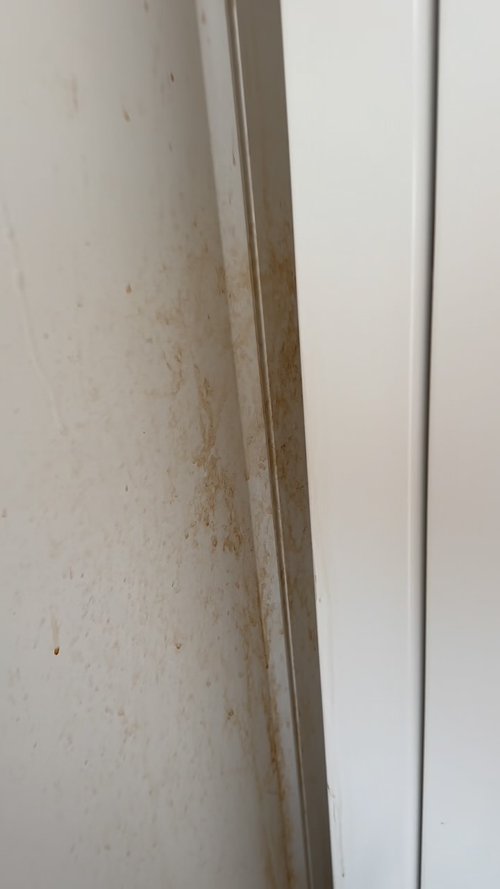 Guess the stain? 😂 #endoftenancycleaning #commerialcleaning #galaxy