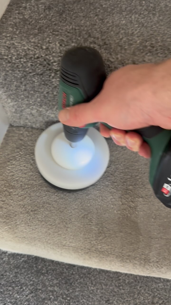 Professional carpet clean pre sale 🏠#selling #property #carpetcleaning