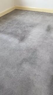 Starting Monday with a clean slate—literally. Let’s get those carpets looking like new again! Whether in your office or managed spaces, we can bring tired, dirty carpets back to life. 

DM us for a quote today 📱

#MondayMotivation #FreshStart #GalaxyProclean  #ProfessionalCleaners #BeforeAfter #carpetcleaning