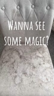 Wanna see some magic? 🪄

Commercial furniture takes a beating due to constant use. Before you consider refurbishing your space, talk to us. We can remove even the toughest stains and bring upholstery and carpets back to their former glory.

 #ProfessionalCleaners #GalaxyProclean #CommercialCleaning #upholstery #carpets