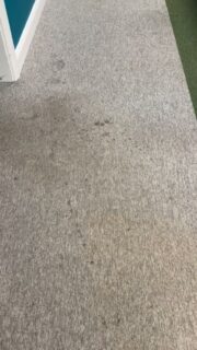 A clean office environment directly impacts employee focus, morale, and attendance. Our commercial carpet cleaning teams keep your workspaces free from dust and stains. Why not see for yourself? DM us for a free consultation of your business work areas.
#OfficeCleaning #WorkplaceWellness #CommercialCleaning #ProductivityBoost #OfficeHygiene