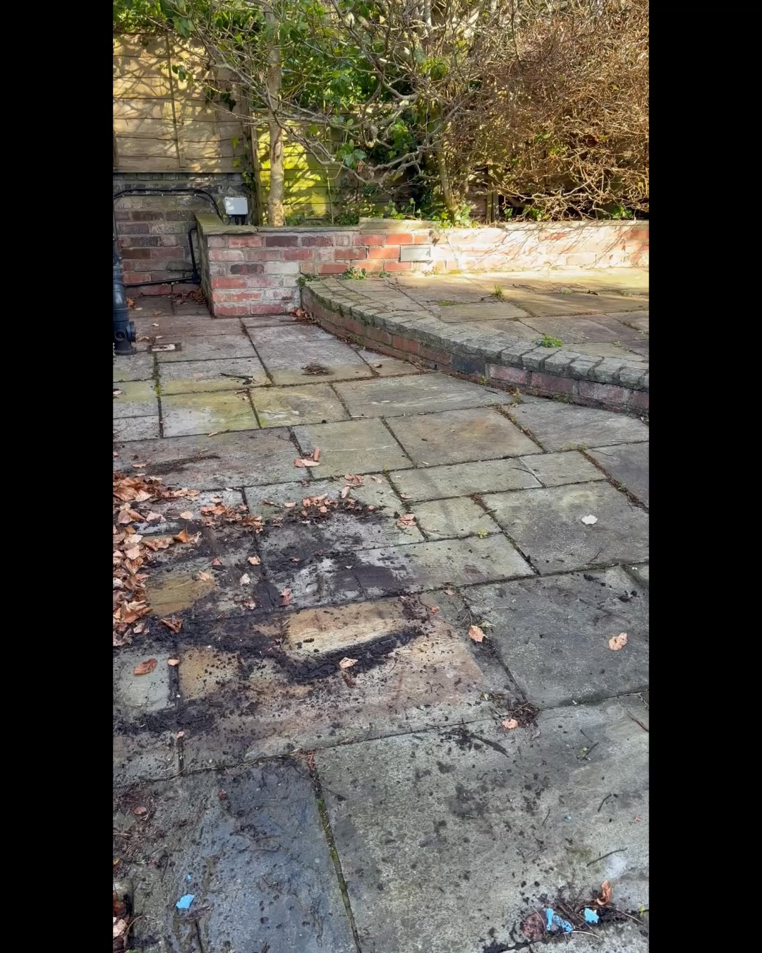 Wondering how often powerwashing is needed? We’ll guide you.

 #PowerWashingExperts #gardenweather☀️ #powerwashing #powerwashingservices #powerwashingcompany #dirtremoval #sharethispage #PowerWashingPros #BeforeAndAfter #GalaxyProclean