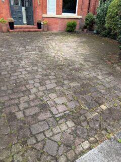 Did you know? Regular powerwashing doesn't just make your property look great—it actually extends the lifespan of your brickwork and concrete by removing damaging algae and mould. 💡

 #PropertyCare #HomeTips #GalaxyProclean