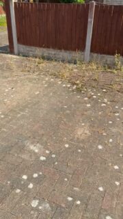 Are your rental properties' exteriors in need of a deep clean? Did you know our team can blast away weeds, moss and dirt with our high-grade power washers?

Weed growth in your block paving can ruin the structure over time. Our deep cleaning removes the roots and prepares it for fresh, stabilising sand. Contact us today to find out more 📲 

#BlockPaving #WeedPrevention #PropertyTips"