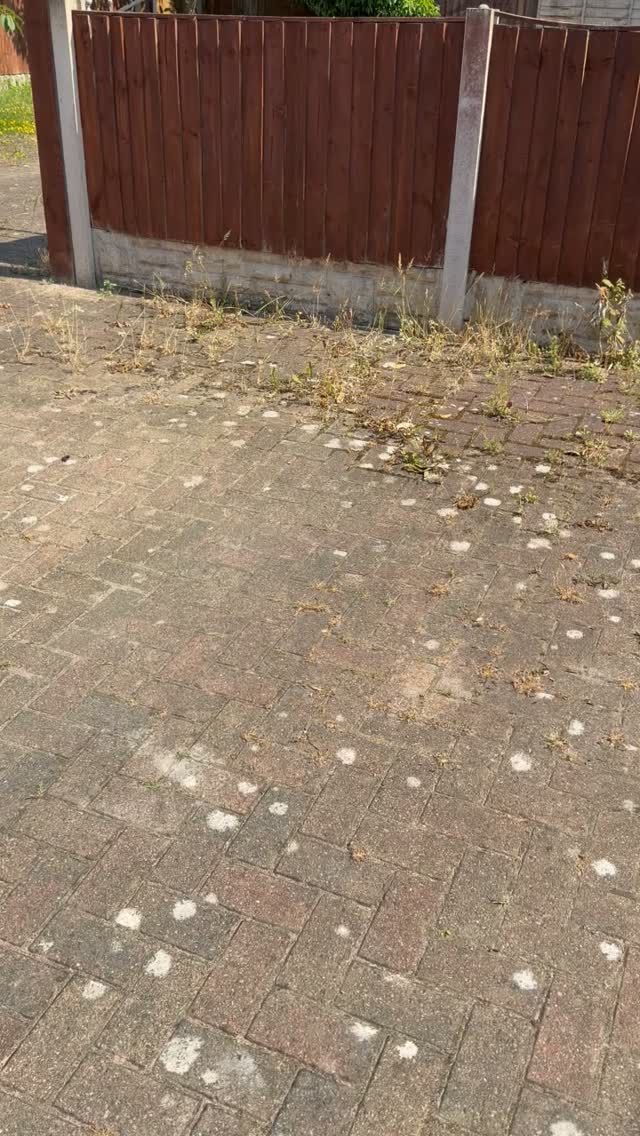 Are your rental properties' exteriors in need of a deep clean? Did you know our team can blast away weeds, moss and dirt with our high-grade power washers?

Weed growth in your block paving can ruin the structure over time. Our deep cleaning removes the roots and prepares it for fresh, stabilising sand. Contact us today to find out more 📲 

#BlockPaving #WeedPrevention #PropertyTips"